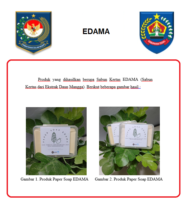 EDEMA website
